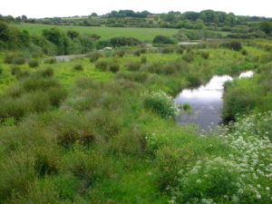 An English watermeadow with a river meandering through rushy fields.