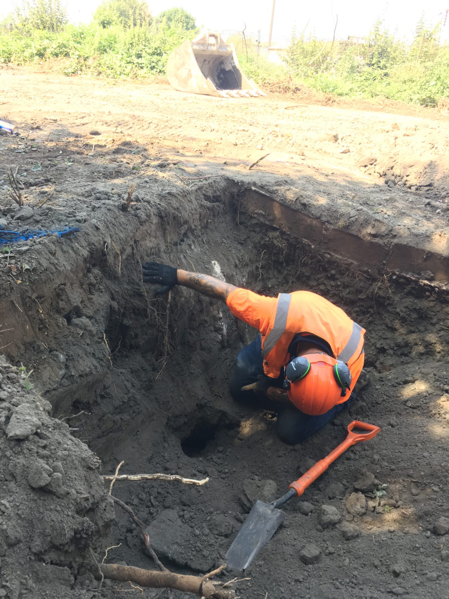 A contractor in an excavated hole overseeing badger sett closure.