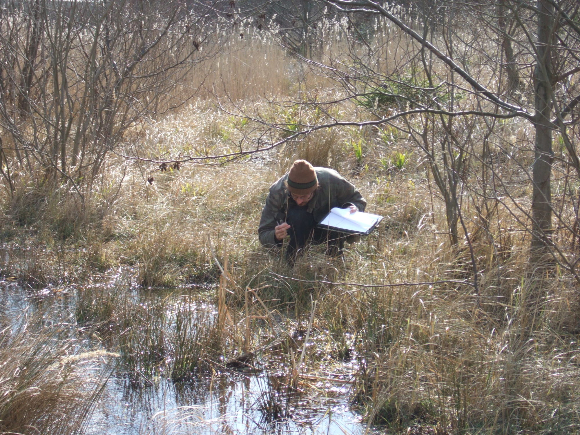 Dominic Woodfield hunched over the edge of a pond examining a plant with an A4 clipboard in his hand