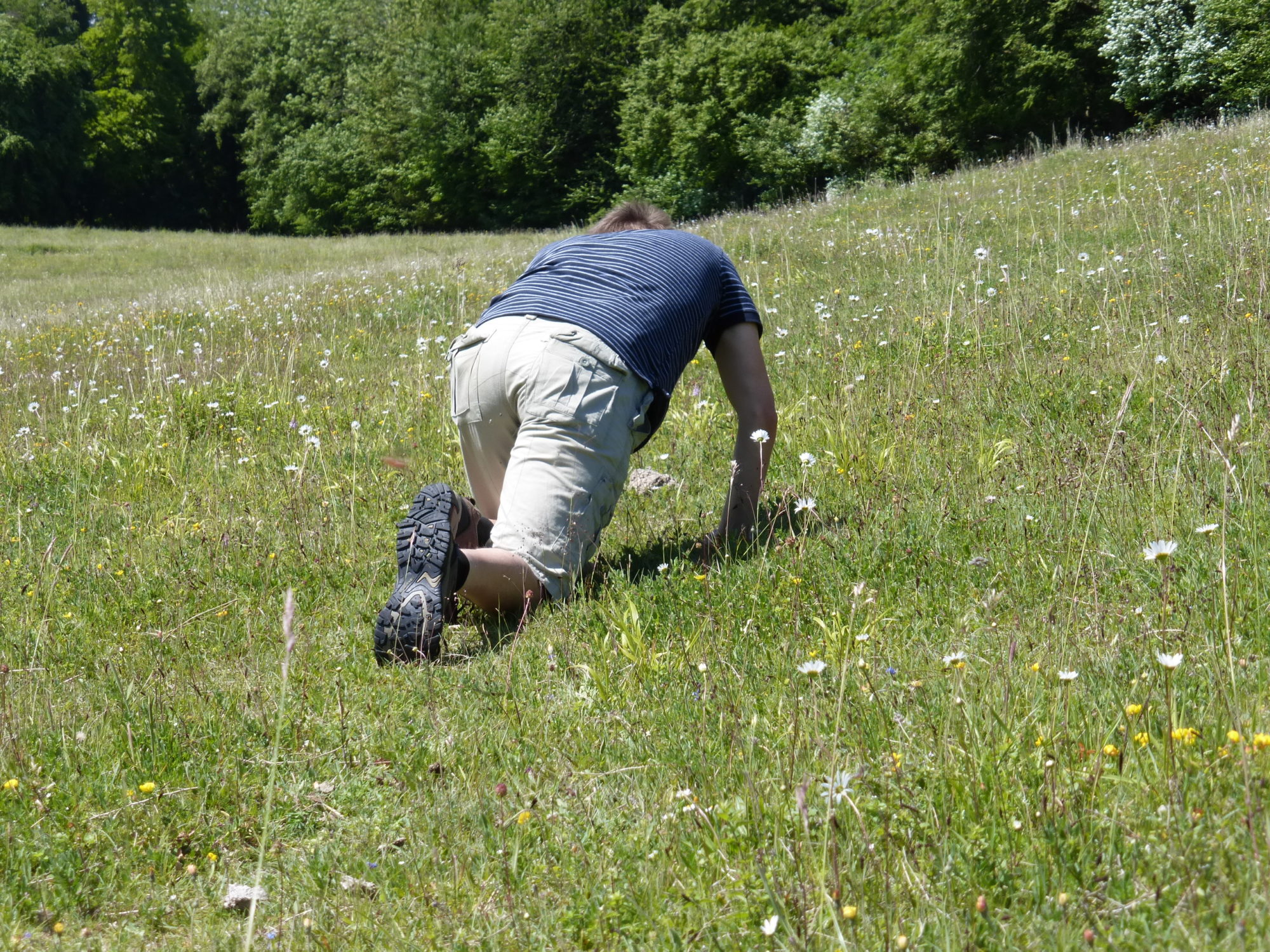 Sam Watson on his hands and knees looking at plants.